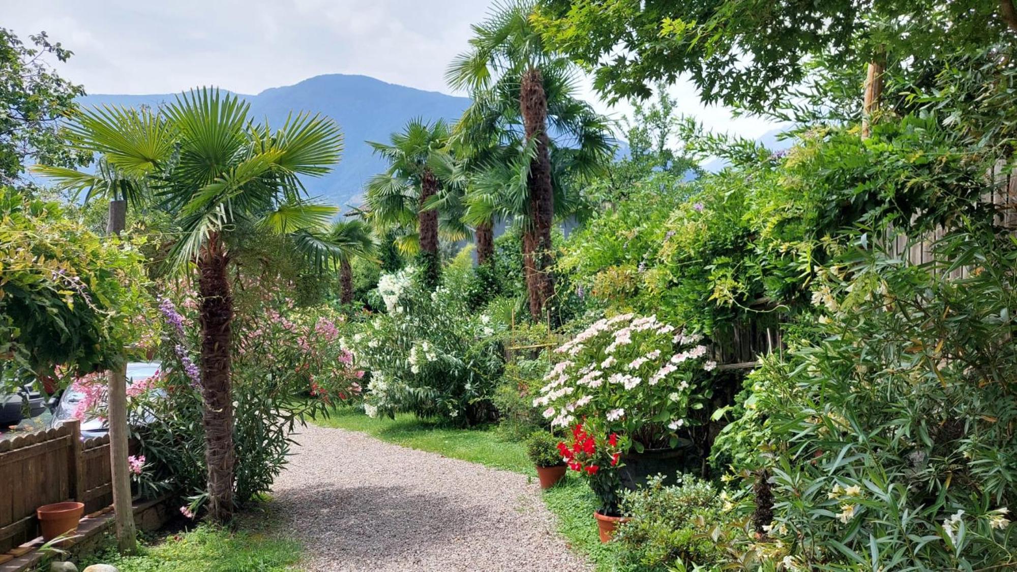 Nora S Home 1 - Panoramic Terrace & Bio Garden Merano Luaran gambar