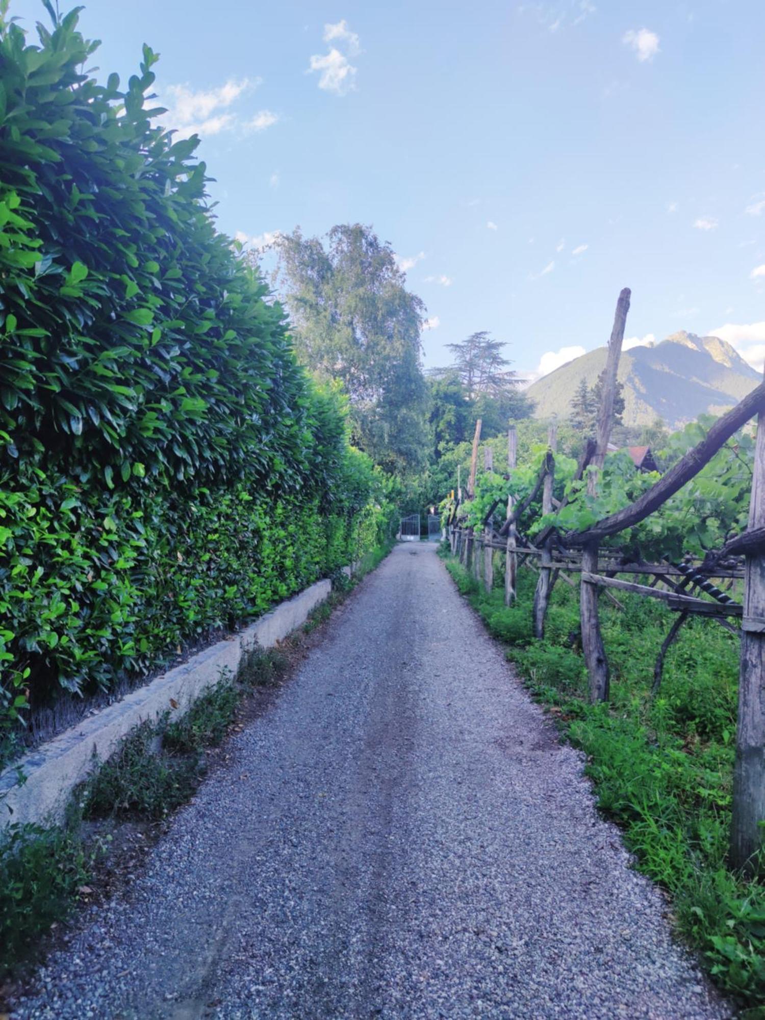 Nora S Home 1 - Panoramic Terrace & Bio Garden Merano Luaran gambar